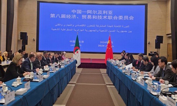 طارق بلعريبي