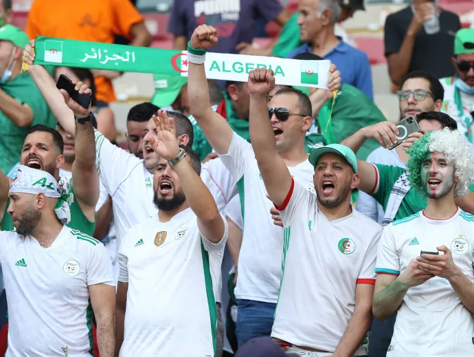 أنصار الخضر