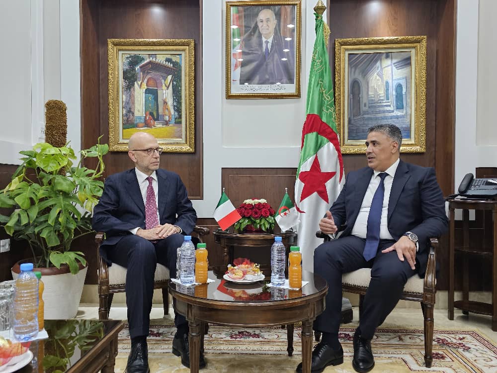 طارق بلعريبي