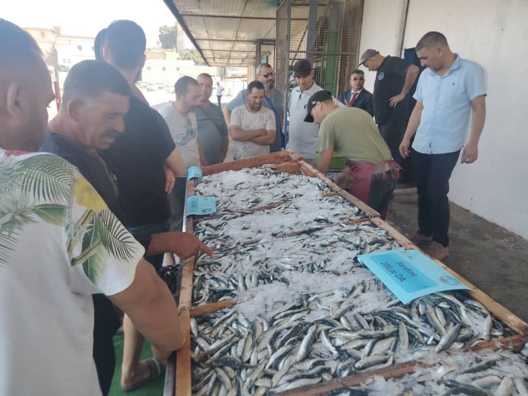 بيع الاسماك