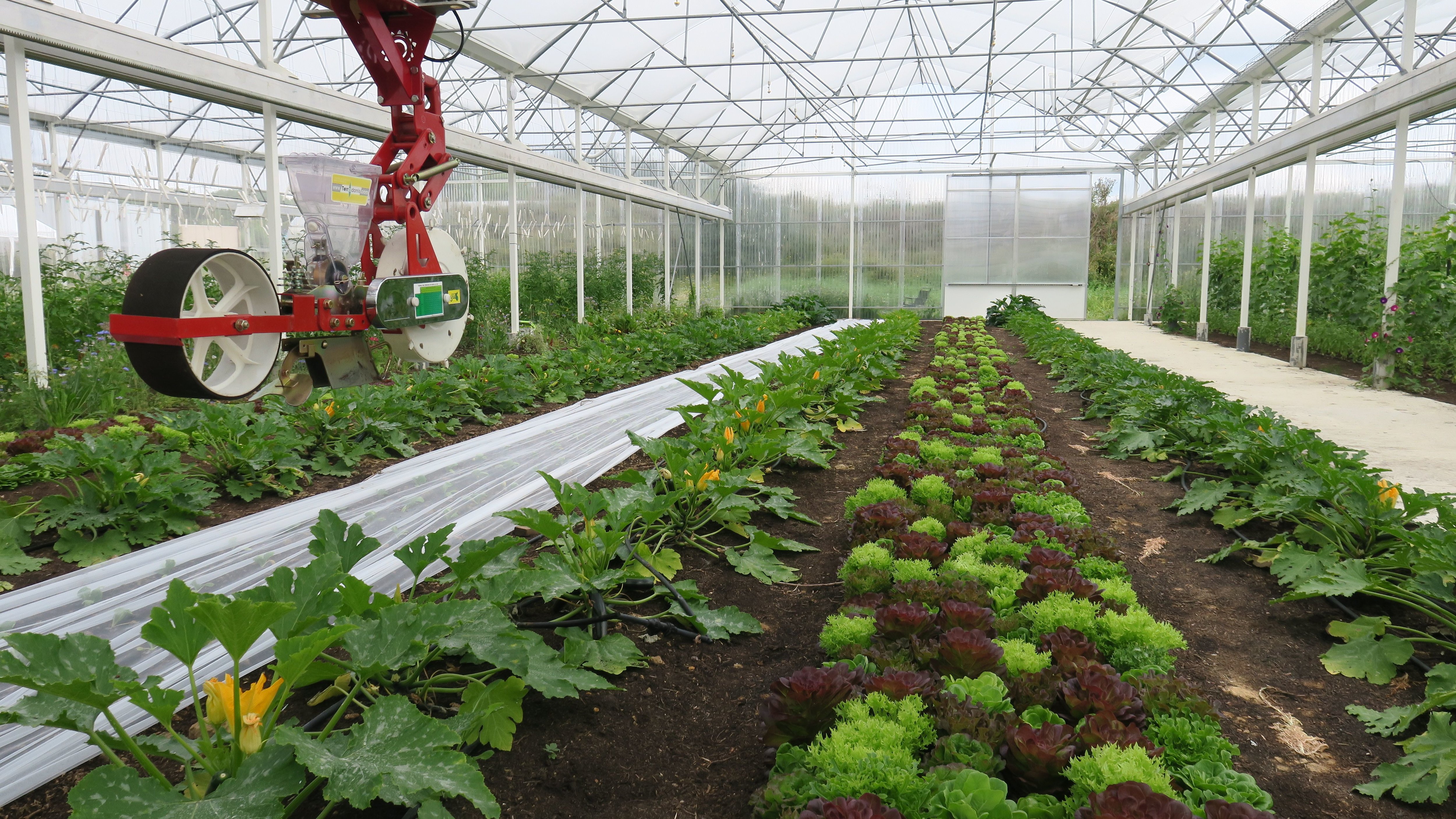 Ferme pilote