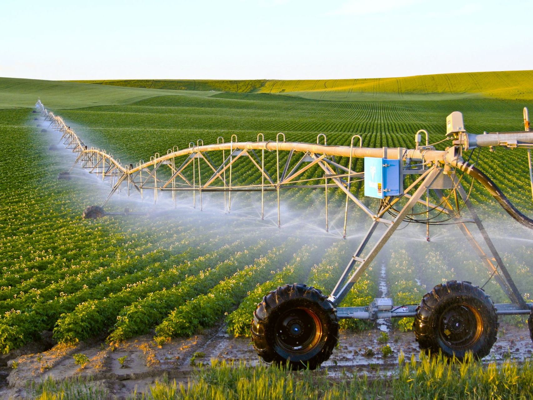 مستثمرات فلاحية