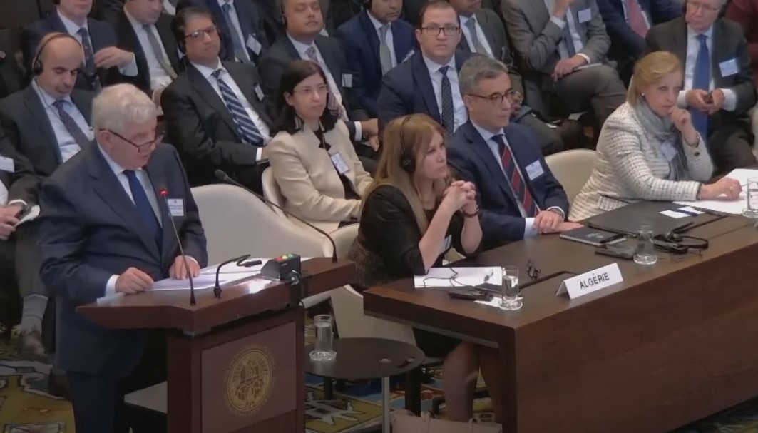 لعرابة في لاهاي