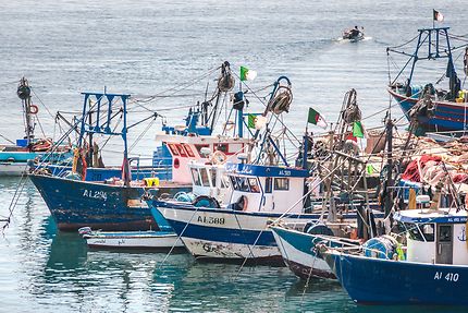 Algérie-Japon-Pêche.05.02.2024