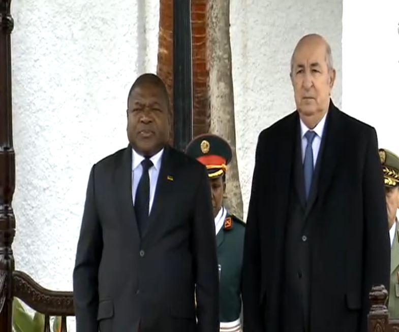 الجزائر موزمبيق