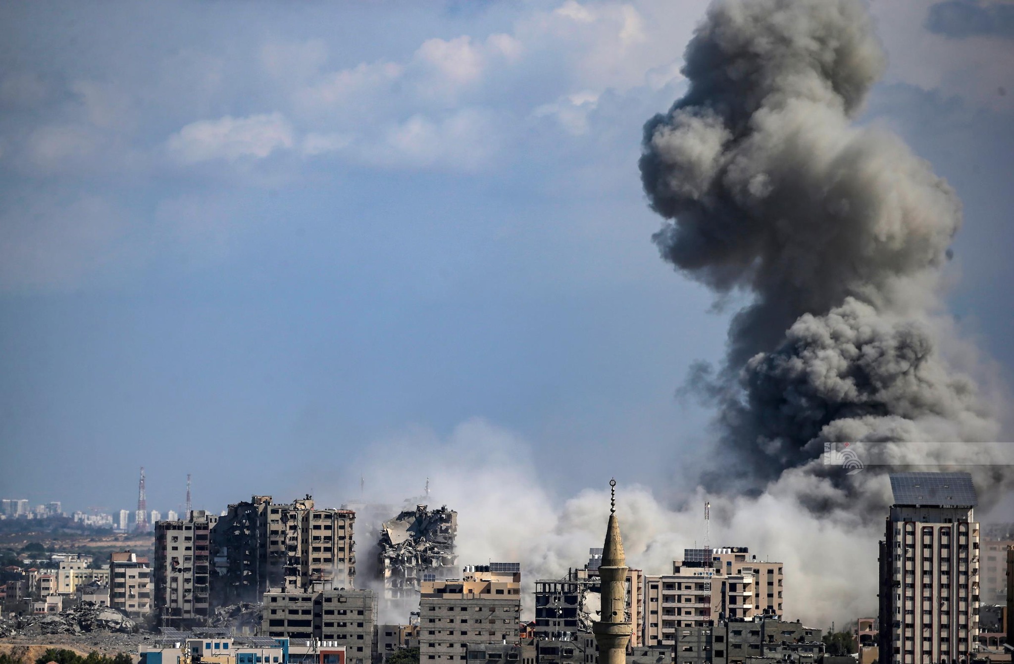 فلسطين