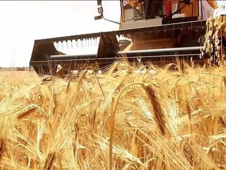 اتحاد الفلاحين الجزائريين