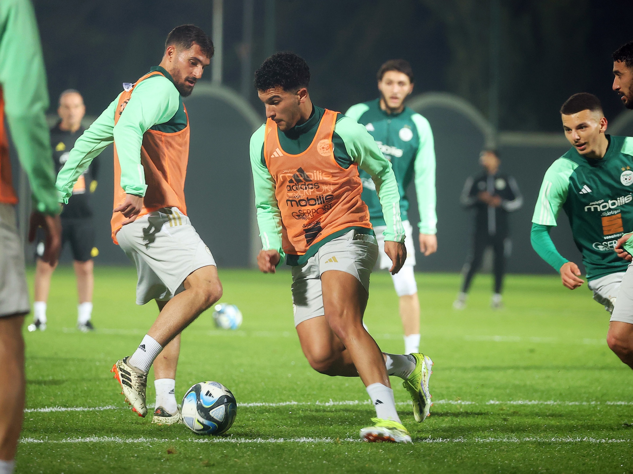 المنتخب الوطني لكرة القدم