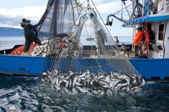 الصيد في أعالي البحار