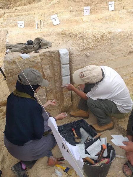 حفريات حفريات