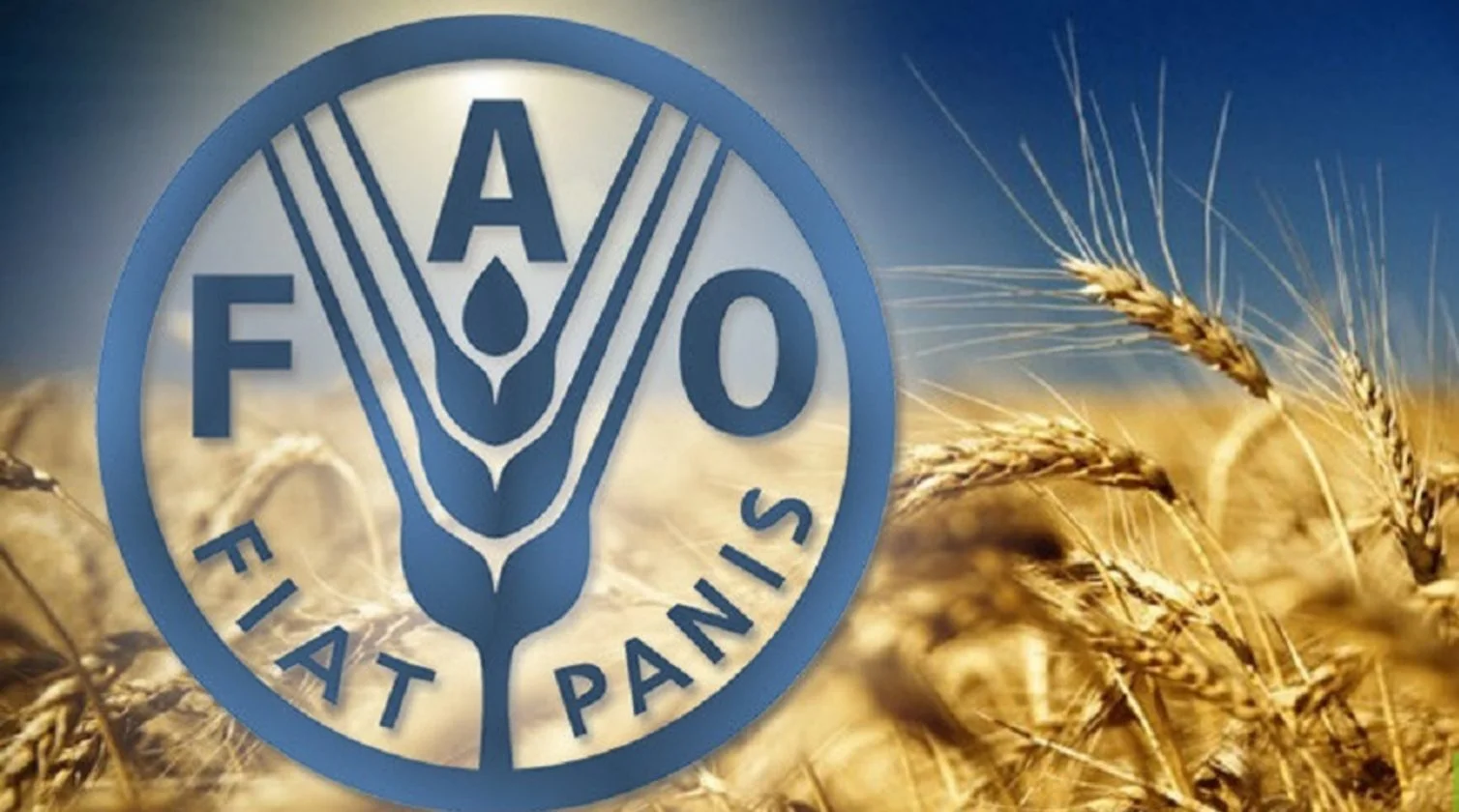الفاو