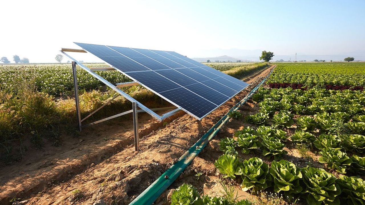 Agriculture électricité
