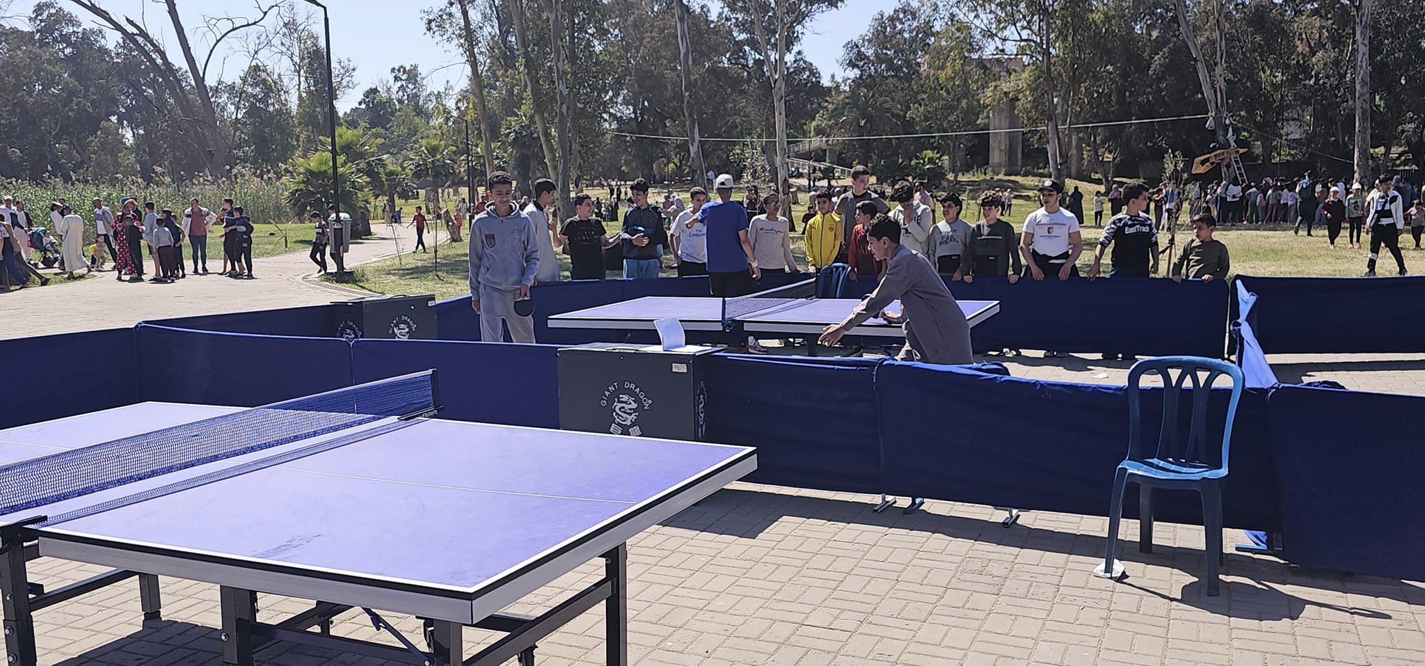 مهرجان الجزائر للرياضات