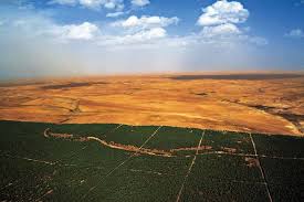 السد الاخضر