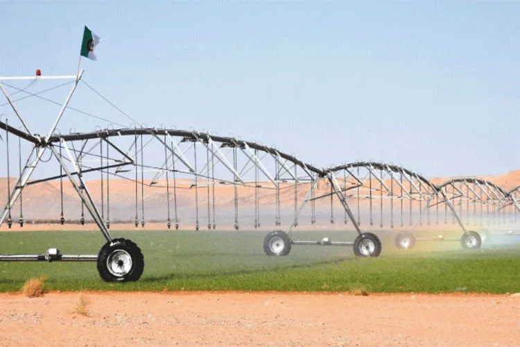 الزراعات الاستراتيجية الزراعات الاستراتيجية