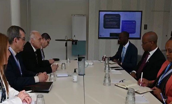 الندوة الوزارية إفريقيا-دول شمال أوروبا بكوبنهاغن  