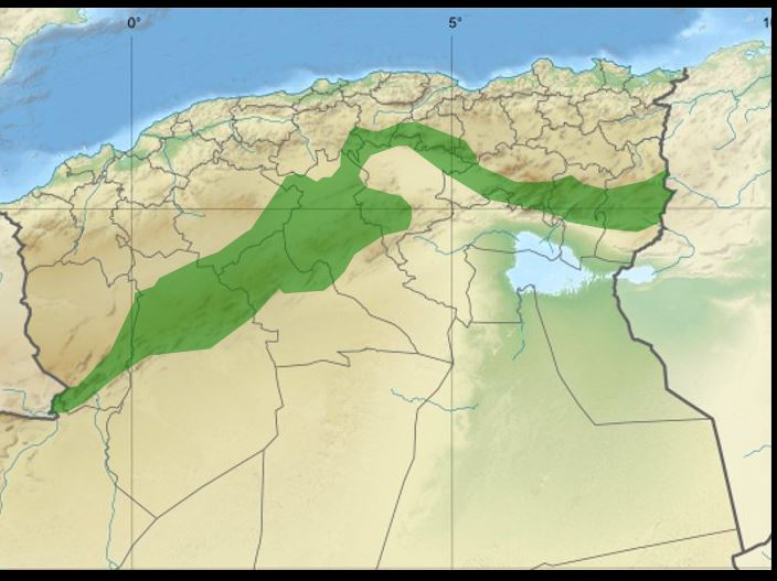 السد الأخضر