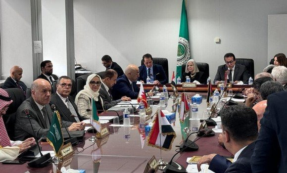 ministres arabes de la sante