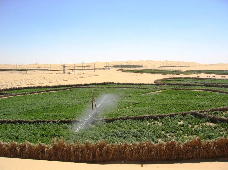 نشاط فلاحي