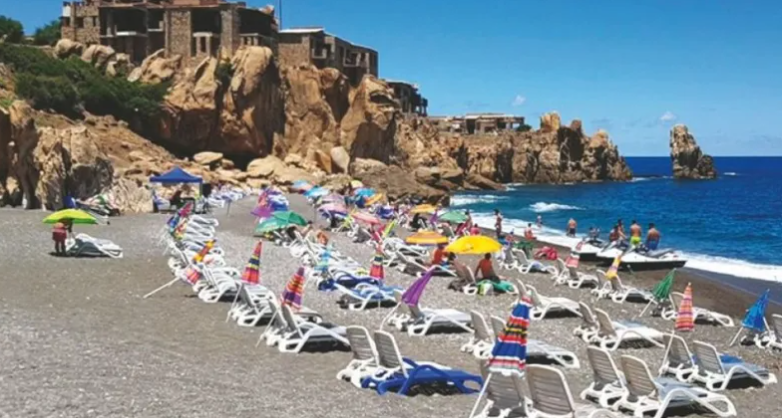 plagess.png