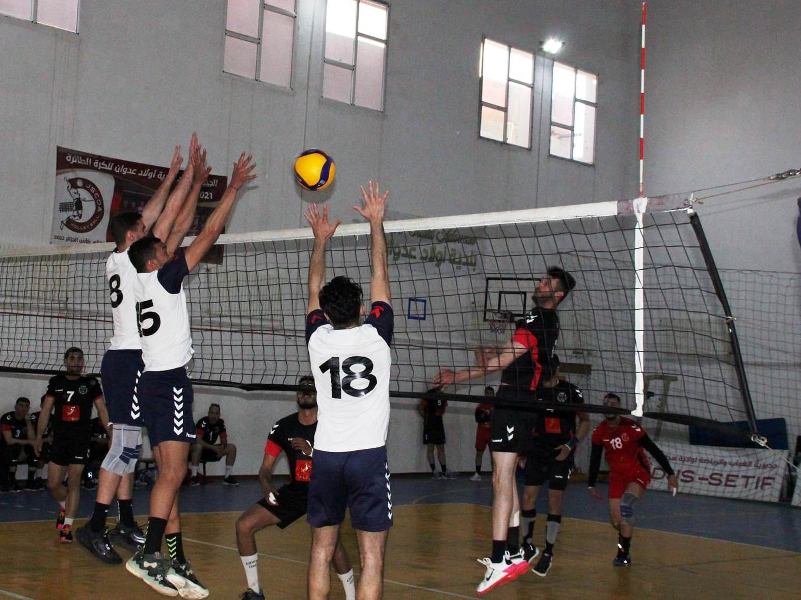 Volleyball Algérie