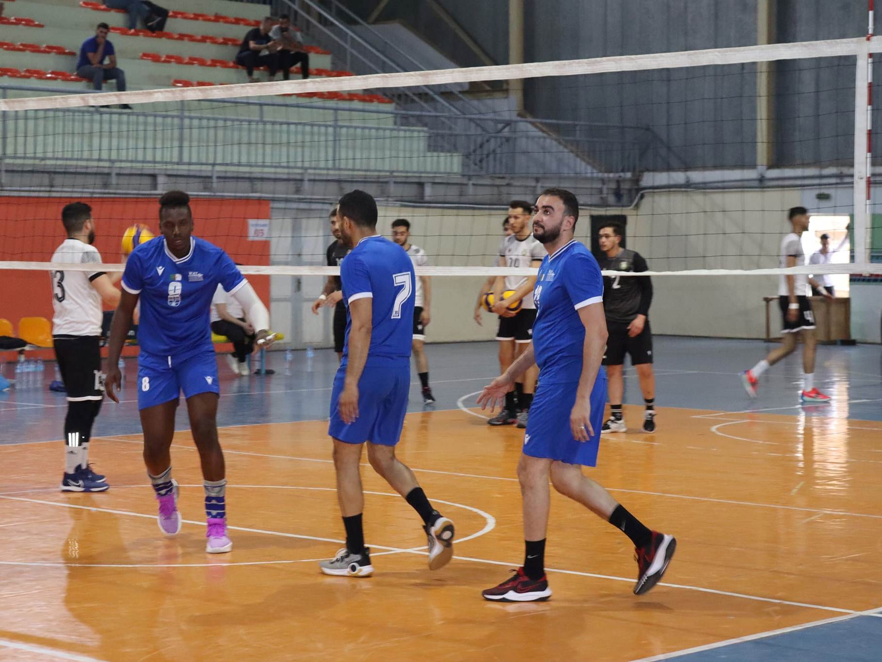 Volleyball Algérie