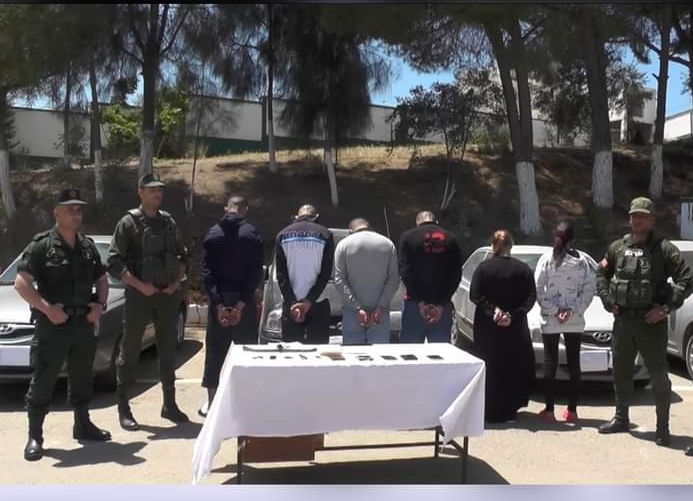 شبكة اجرامية