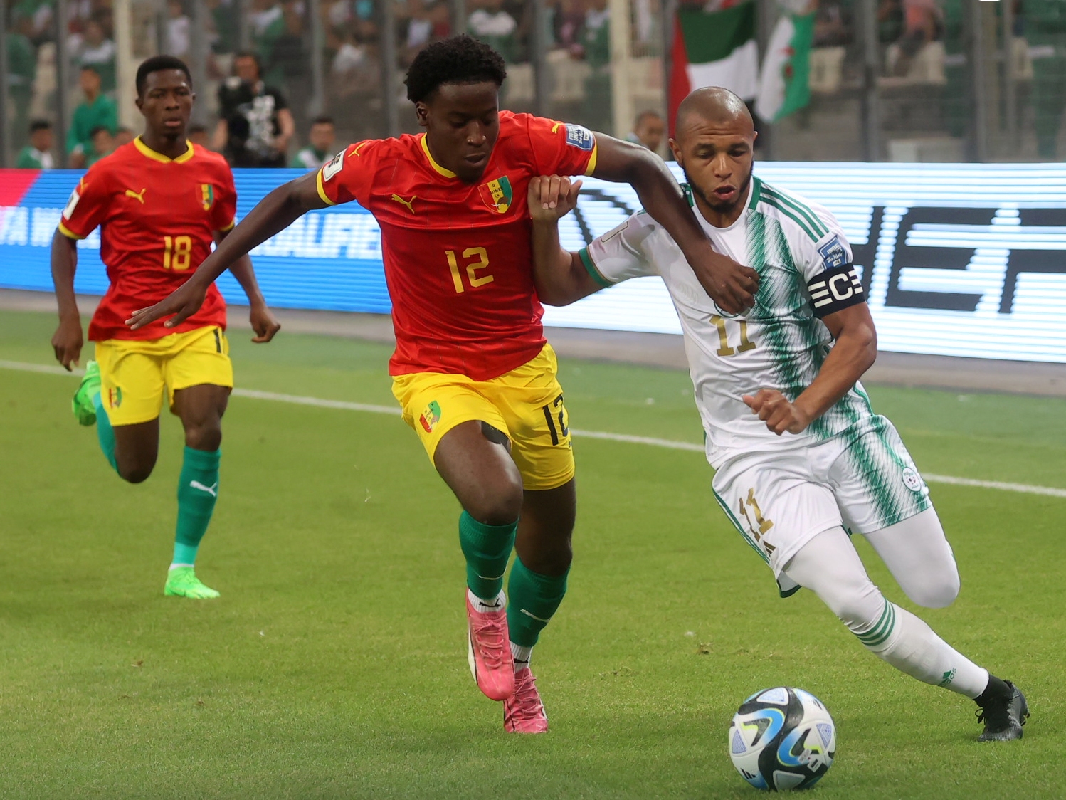 المنتخب الوطني لكرة القدم