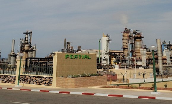 شركة فرتيال