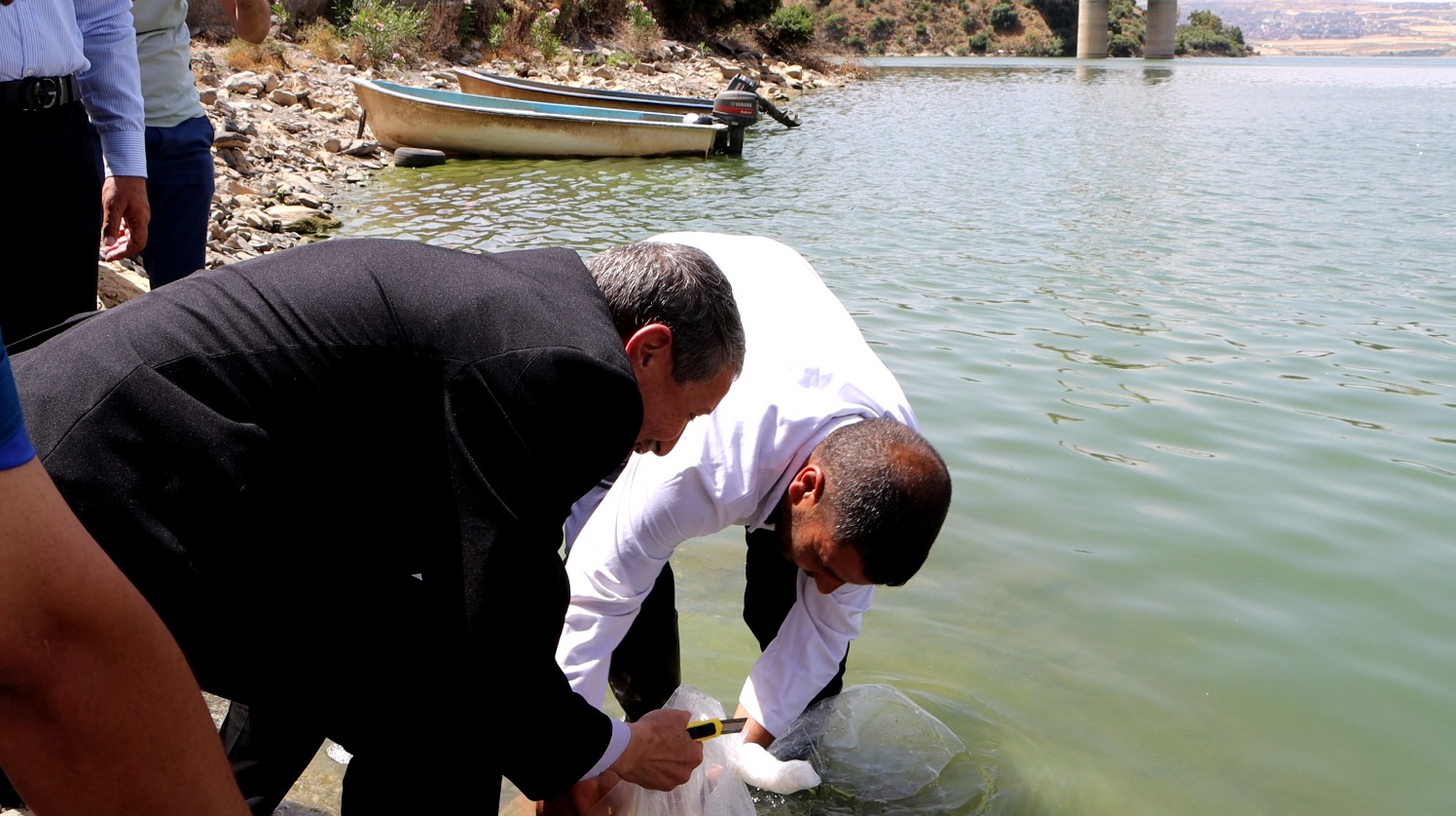 استزراع السدود