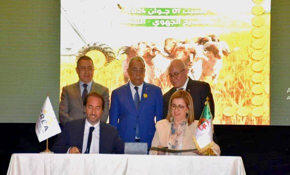 توقيع اتفاقية-إطار بين وزارة الفلاحة ومجلس التجديد الاقتصادي الجزائري