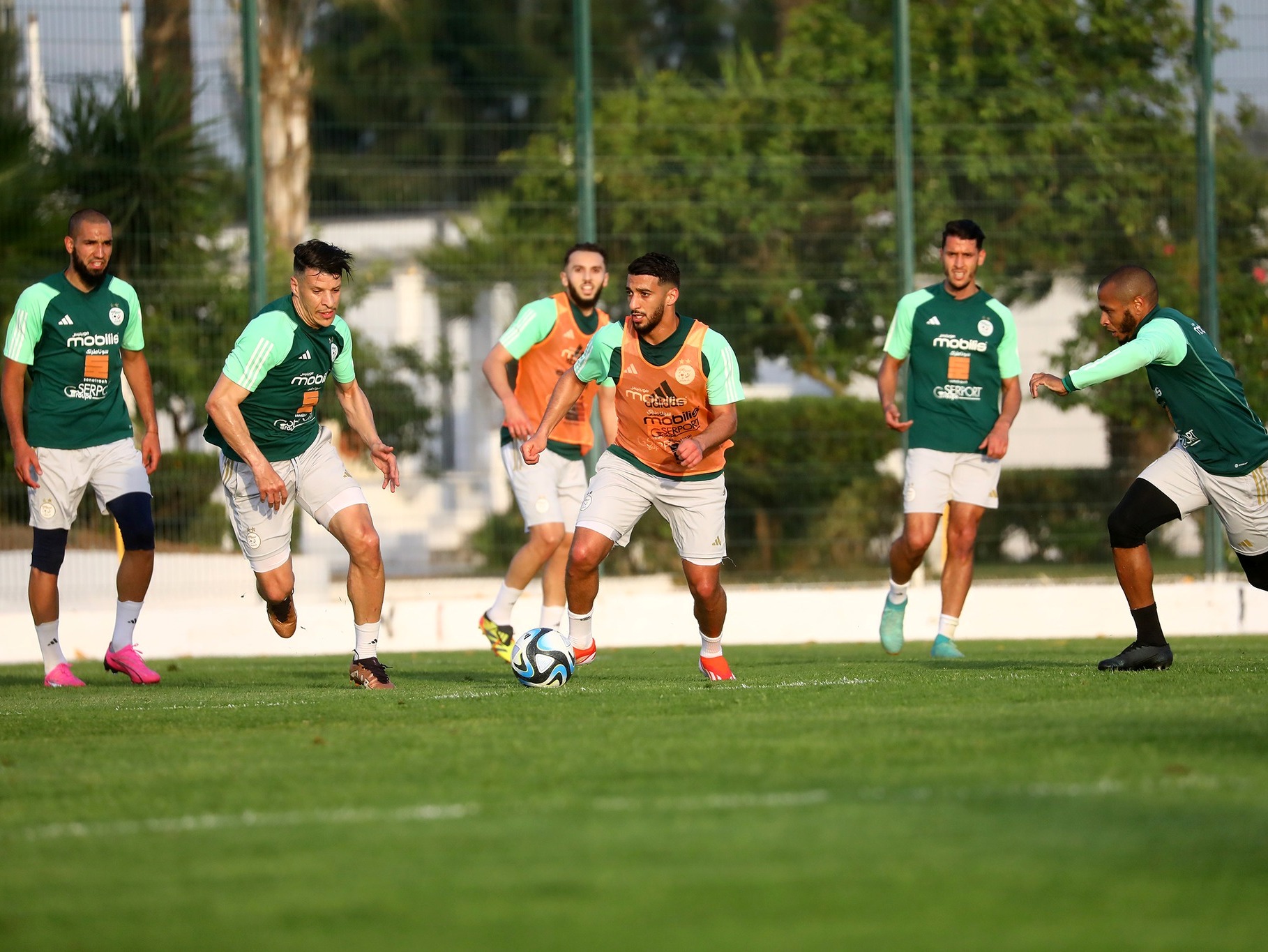 المنتخب الوطني لكرة القدم