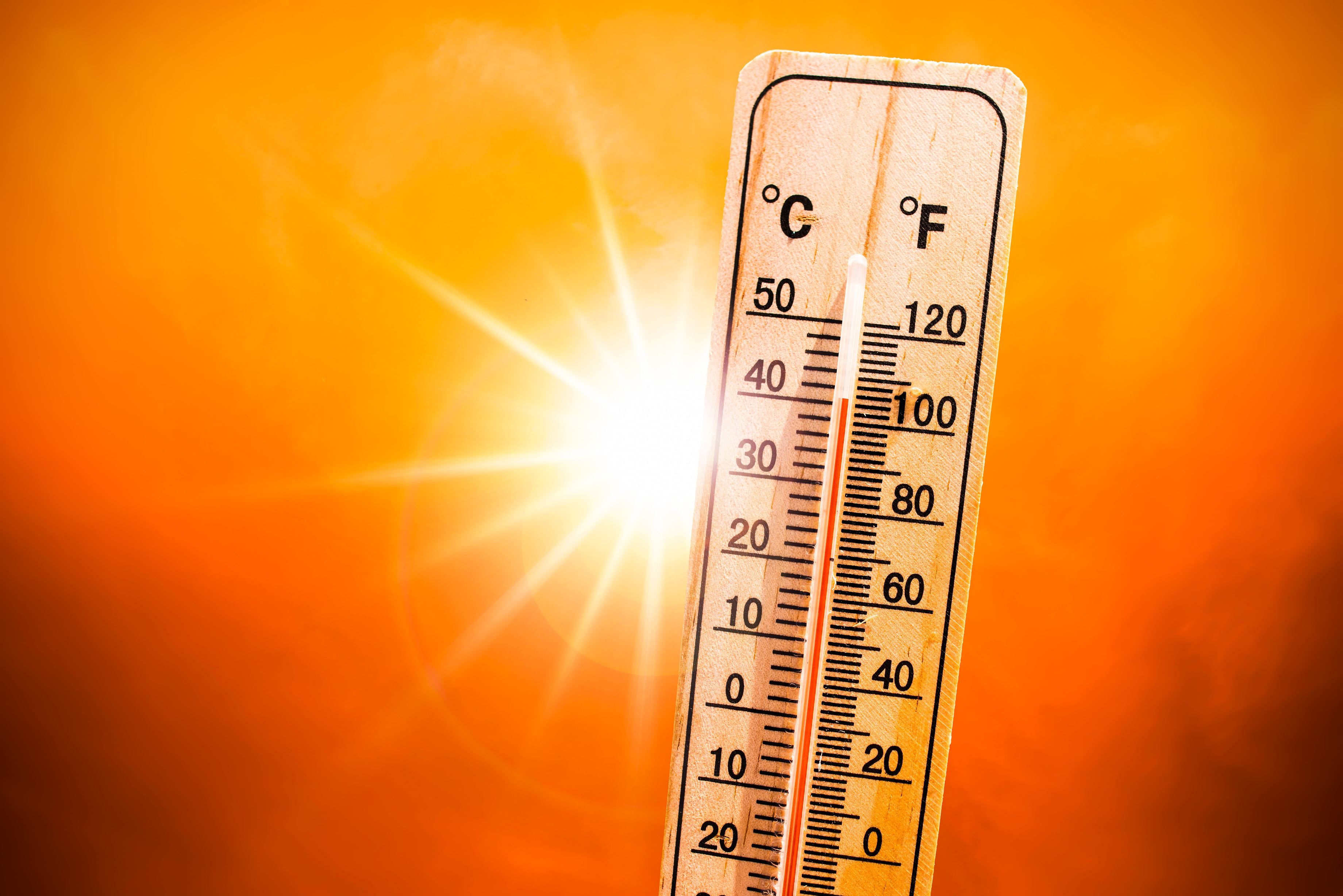 BMS Canicule