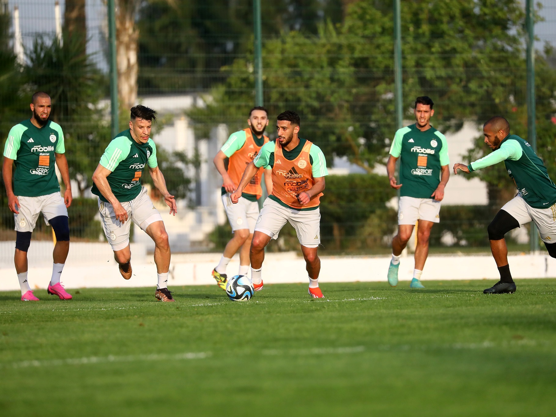 Les Verts à pied d‘œuvre à Sidi Moussa