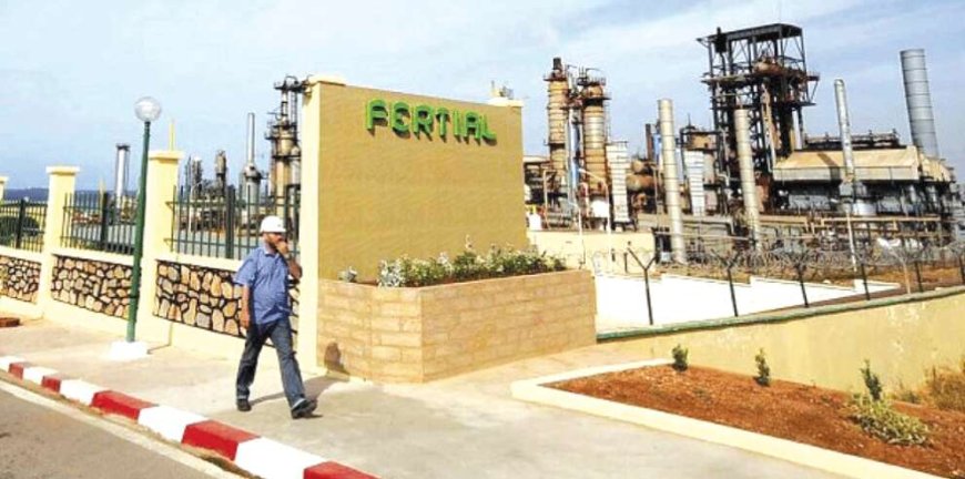 شركة فرتيال