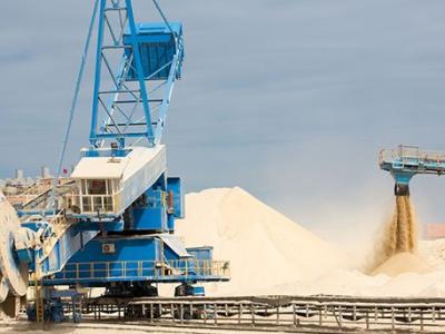 الصحراء الغربية