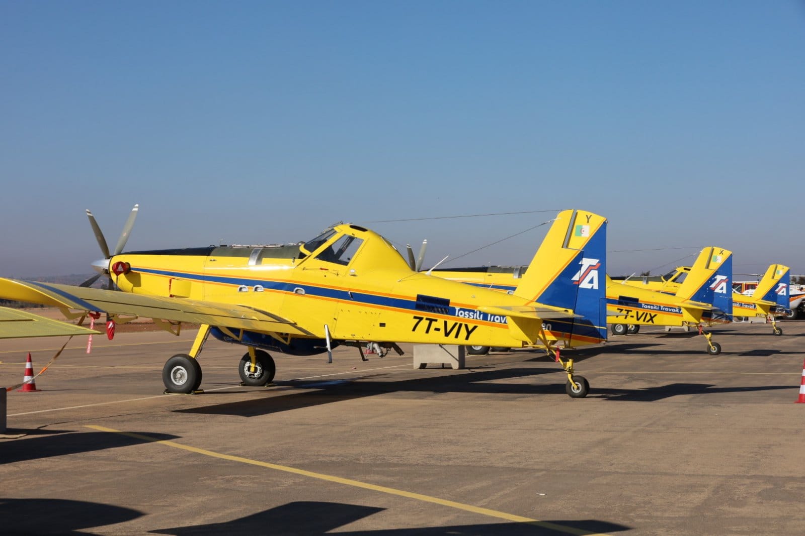 Saison estivale 2024 003