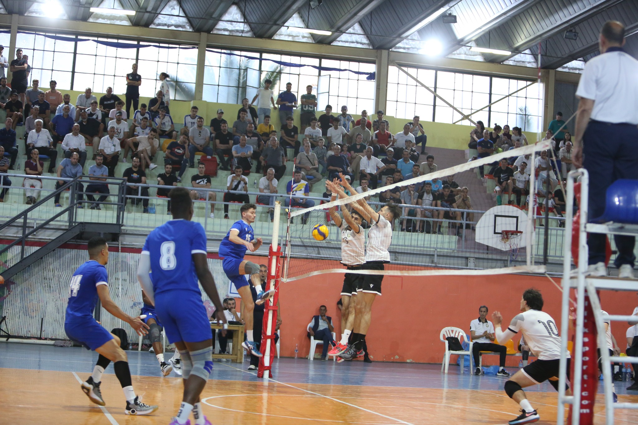 Volleyball Algérie