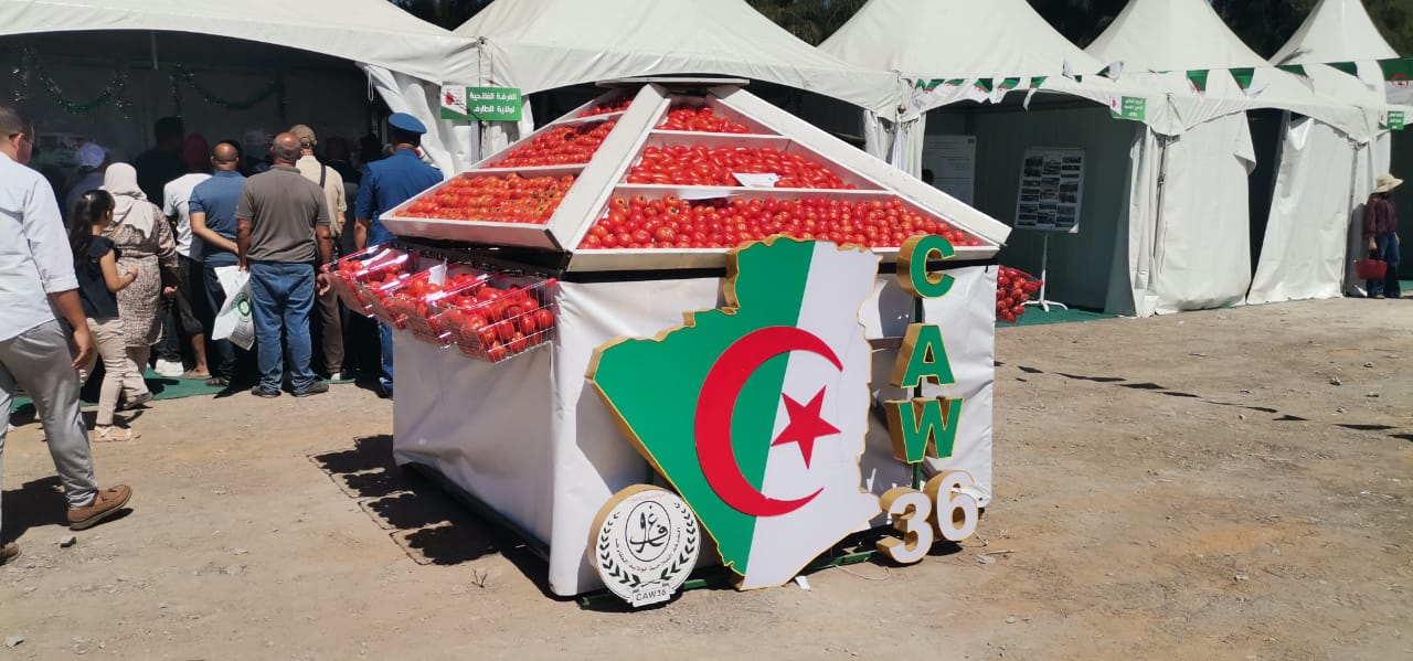 الطارف 3