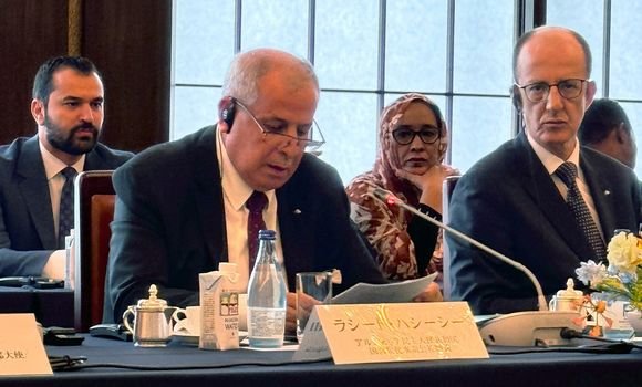 حشيشي يشارك بطوكيو في المنتدى الإقتصادي الياباني-العربي الخامس