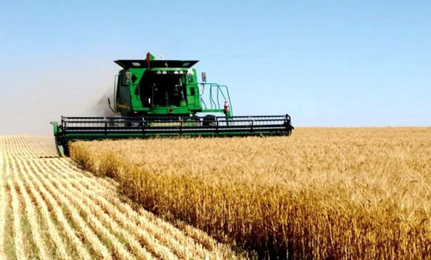 الجزائر/إيطاليا : التوقيع على اتفاقية-إطارلإنجاز مشروع لإنتاج الحبوب والبقوليات بتيميمون