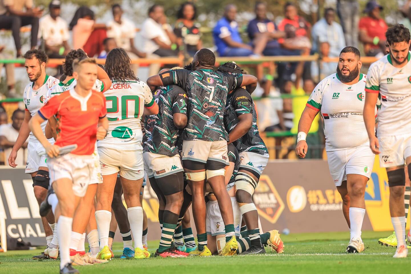 Les Algériens vice-champions d'Afrique