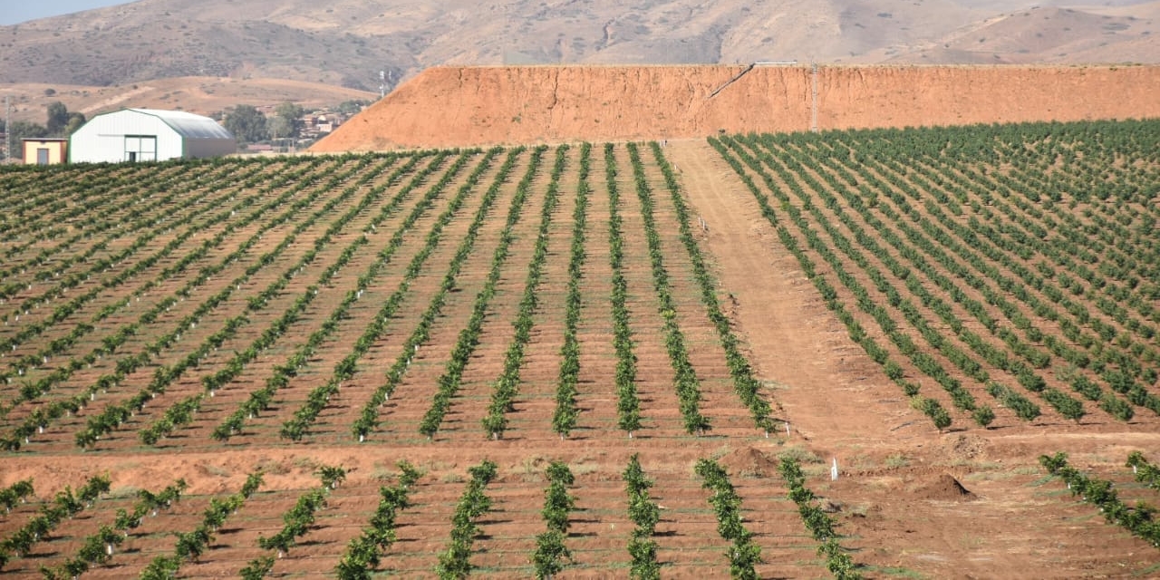 أراضي فلاحية