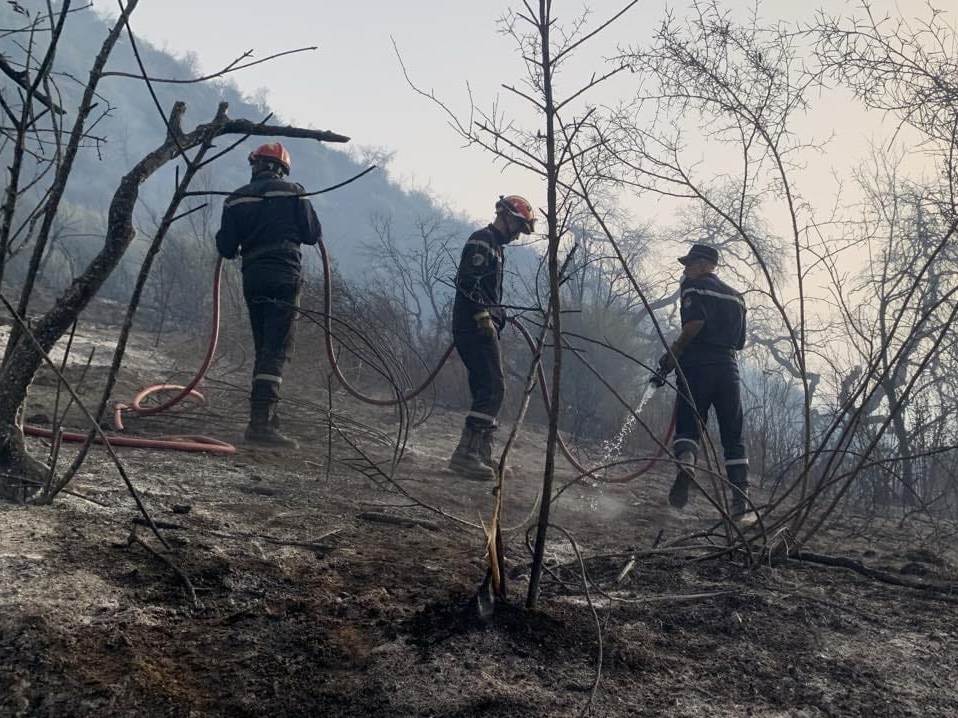 الحماية المدنية