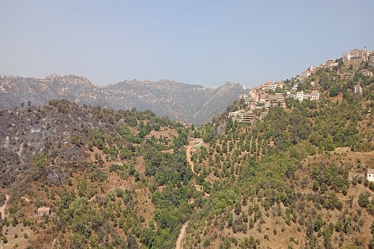 إخماد جميع حرائق الغابات في ولاية تيزي وزو