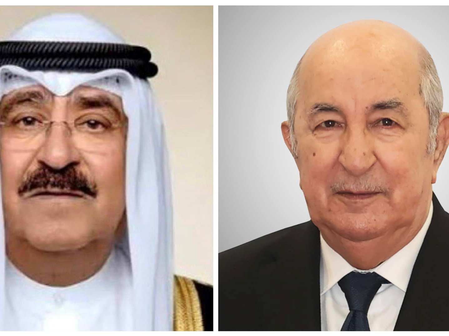 رئيس الجمهورية