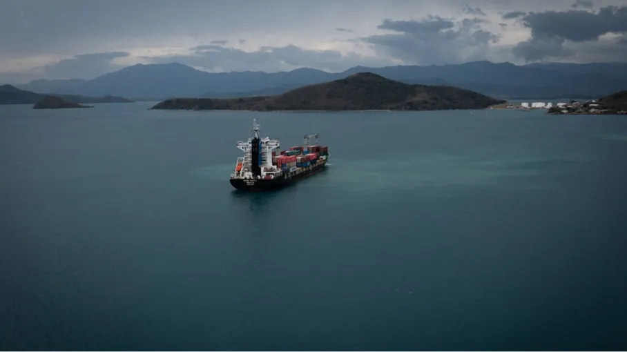 حركة مقاطعة الكيان الصهيوني تمنع سفينة محملة بمواد متفجرة من الوصول الى  قوات الاحتلال