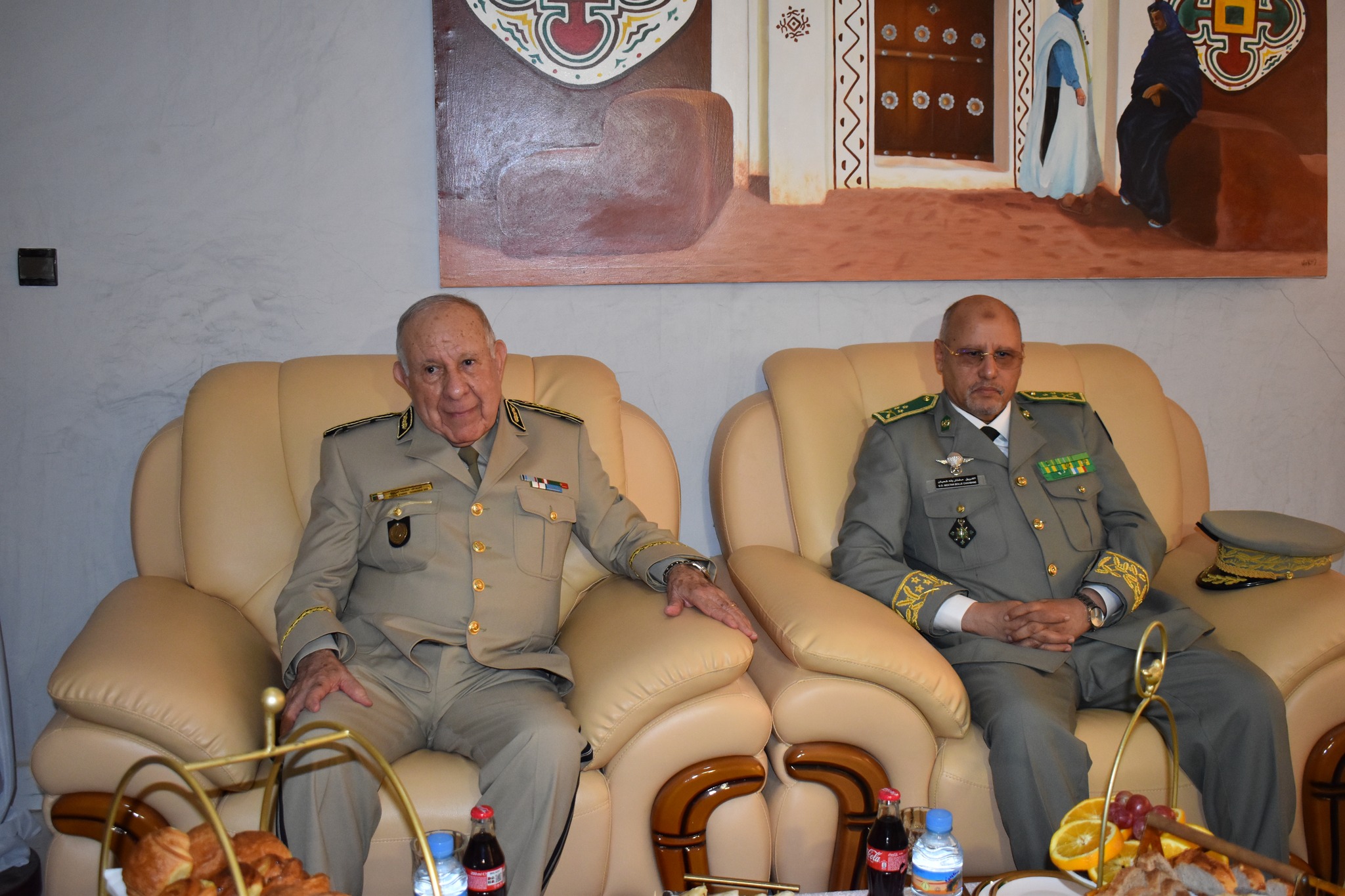 شنغريحة موريتانيا