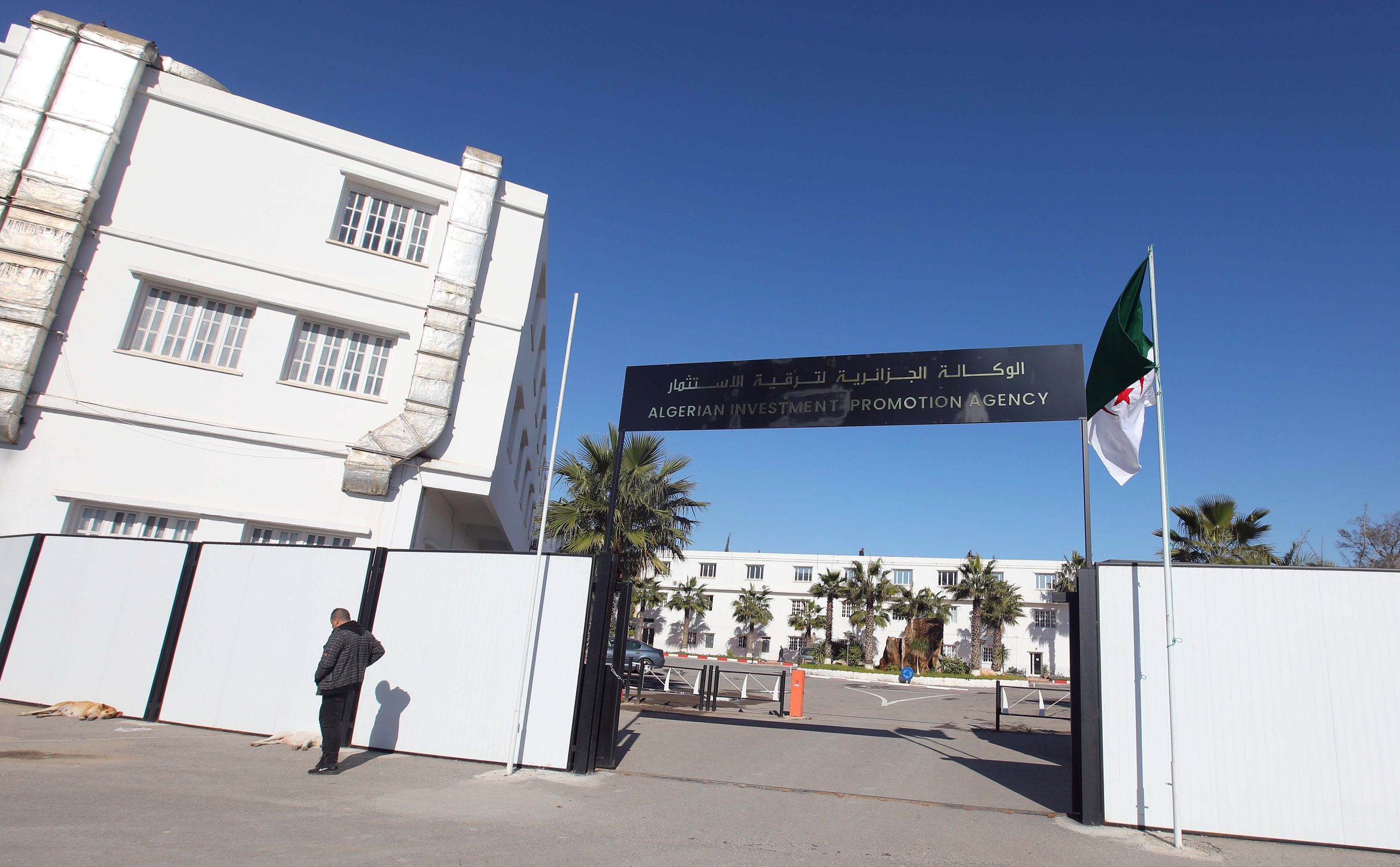 الوكالة الجزائرية لترقية الاستثمار