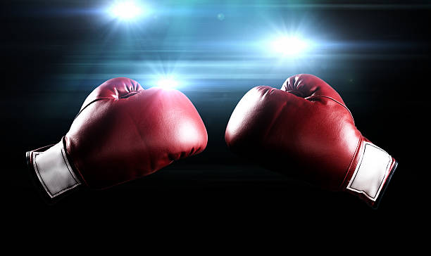 boxe-26.10.24.jpg